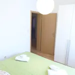 شقة Avian