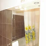 شقة Avian