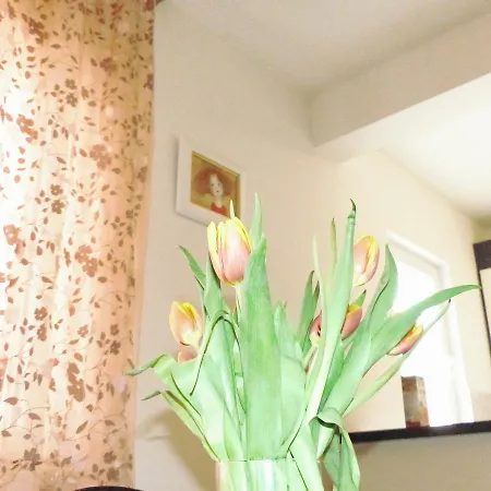 Apartamento Avian Mlini