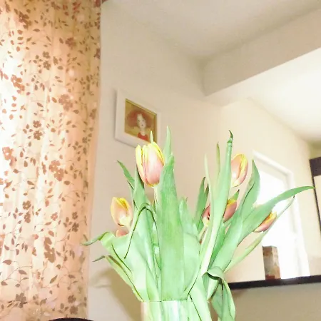 公寓 Avian 米利尼