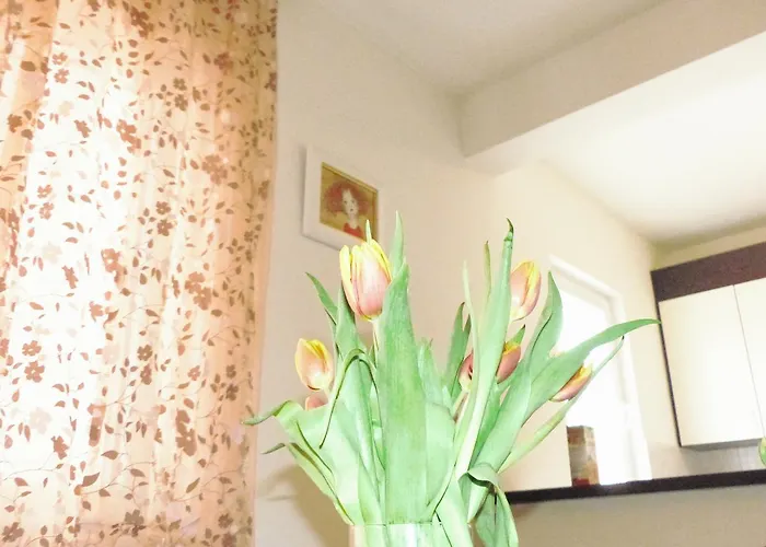 Appartement Avian Mlini